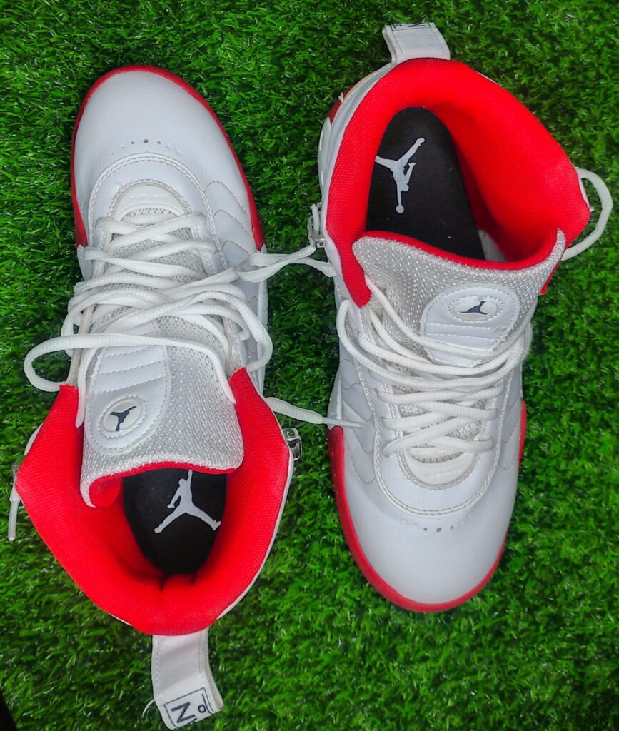 Nike Jordan jumpman pro